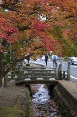 高野山⑤