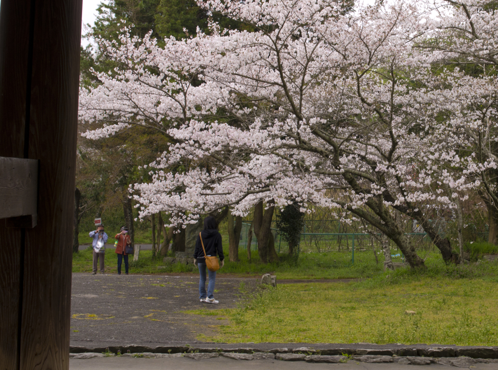 根来寺　大門