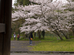 根来寺　大門