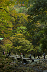 赤目四十八滝_20
