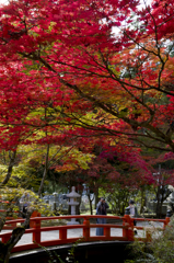 高野山①
