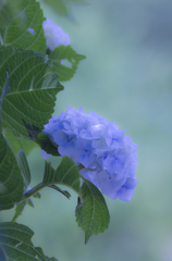 ６月色