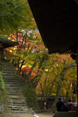 牛滝山１０