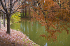長居植物園１