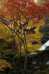 牛滝山１