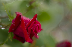 f1.4その２