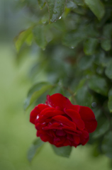 f1.4