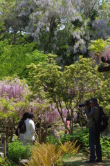 萬葉植物園⑦