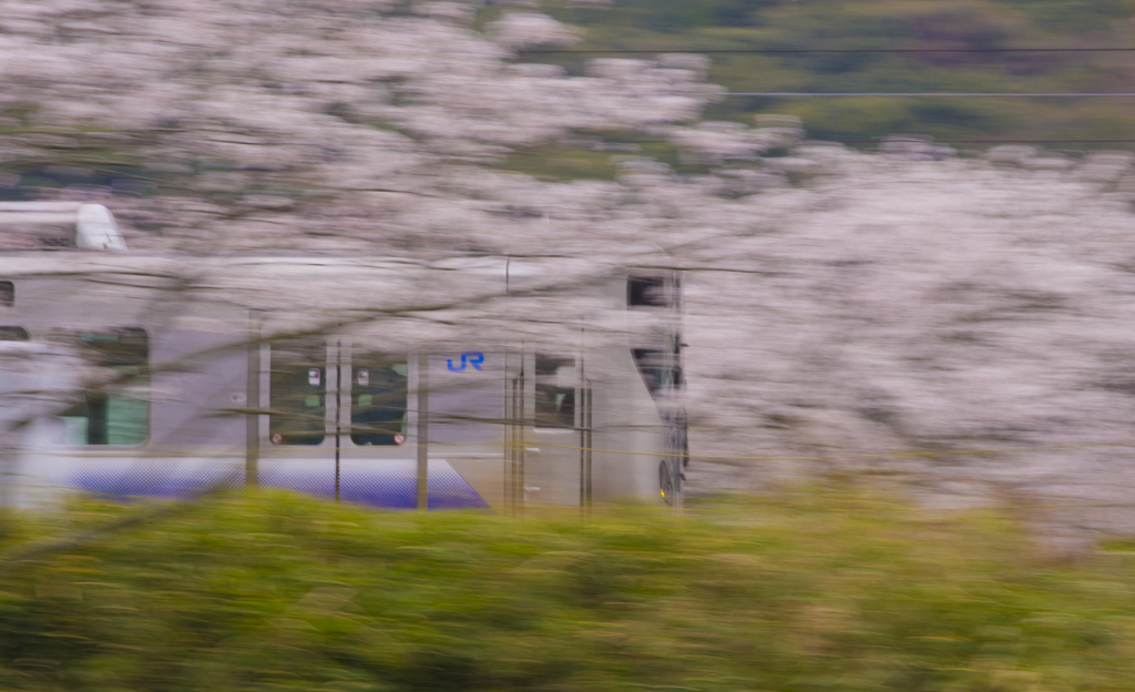 阪和線