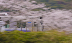 阪和線