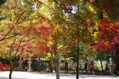 高野山③