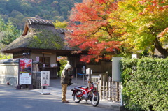 京都⑤