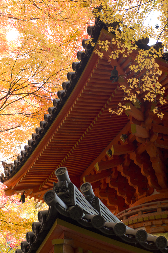 牛滝山９