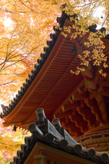 牛滝山９