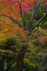 牛滝山７