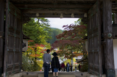 高野山③