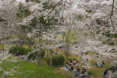 根来寺