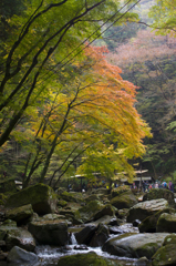 赤目四十八滝_10