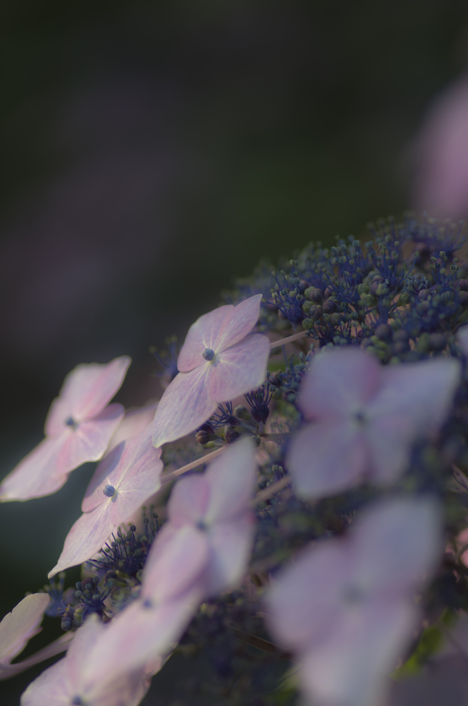 輝け④