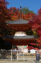 牛滝山①