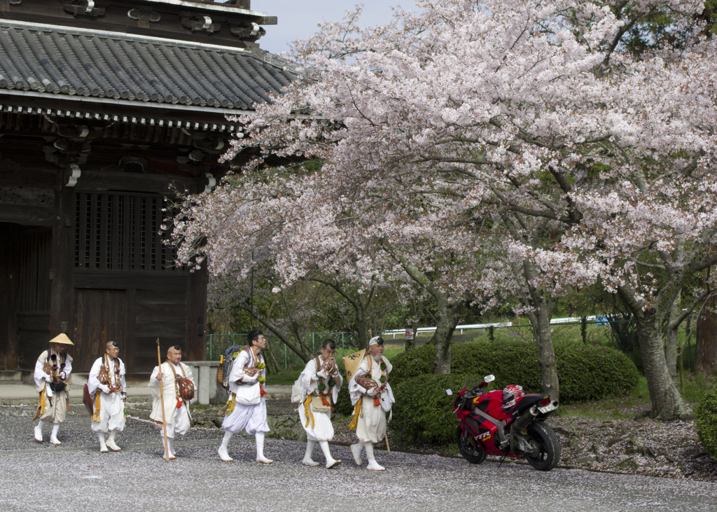 根来寺①