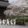 根来寺①