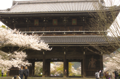 根来寺　大門
