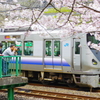 撮り鉄撮り