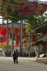 高野山②