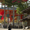 高野山②