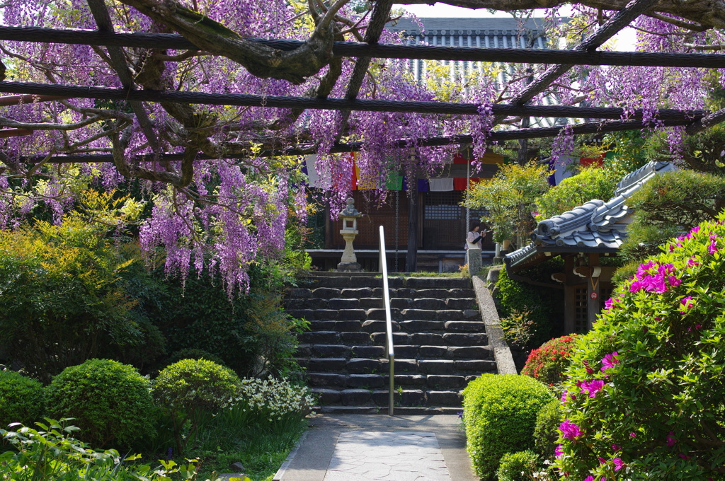 子安地蔵寺①