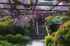 子安地蔵寺①