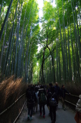 京都⑨