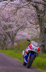 CBR250RR