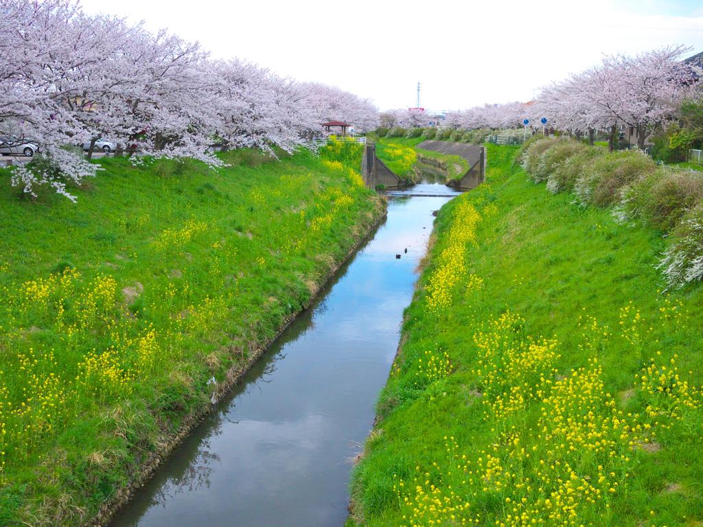茂原市内