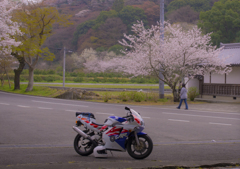 CBR250RR