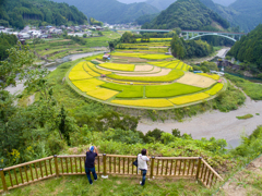 実り
