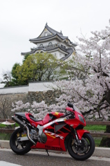岸和田城