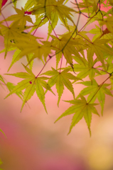 牛滝山１３