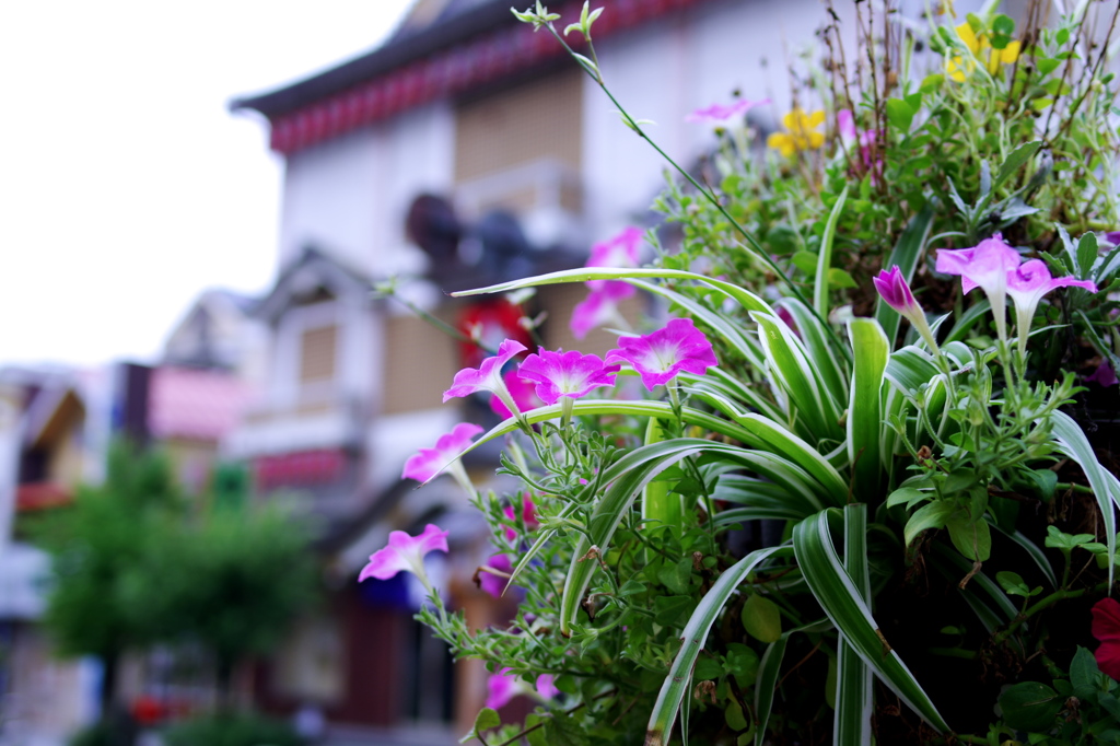 花