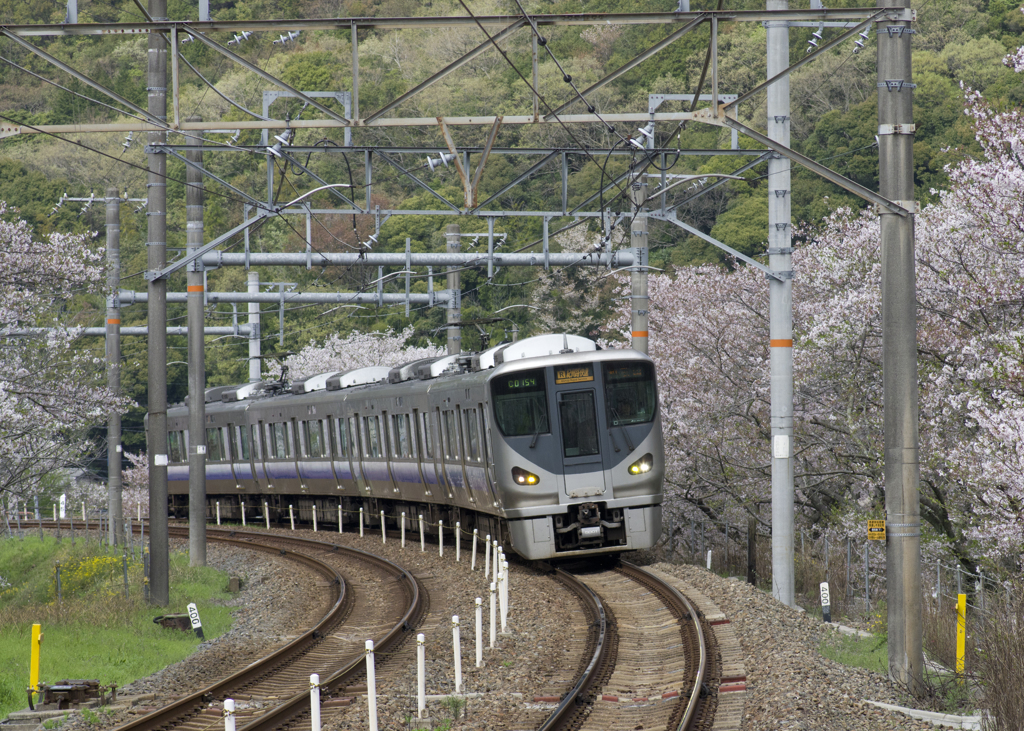 山中渓①