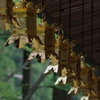 高野山②