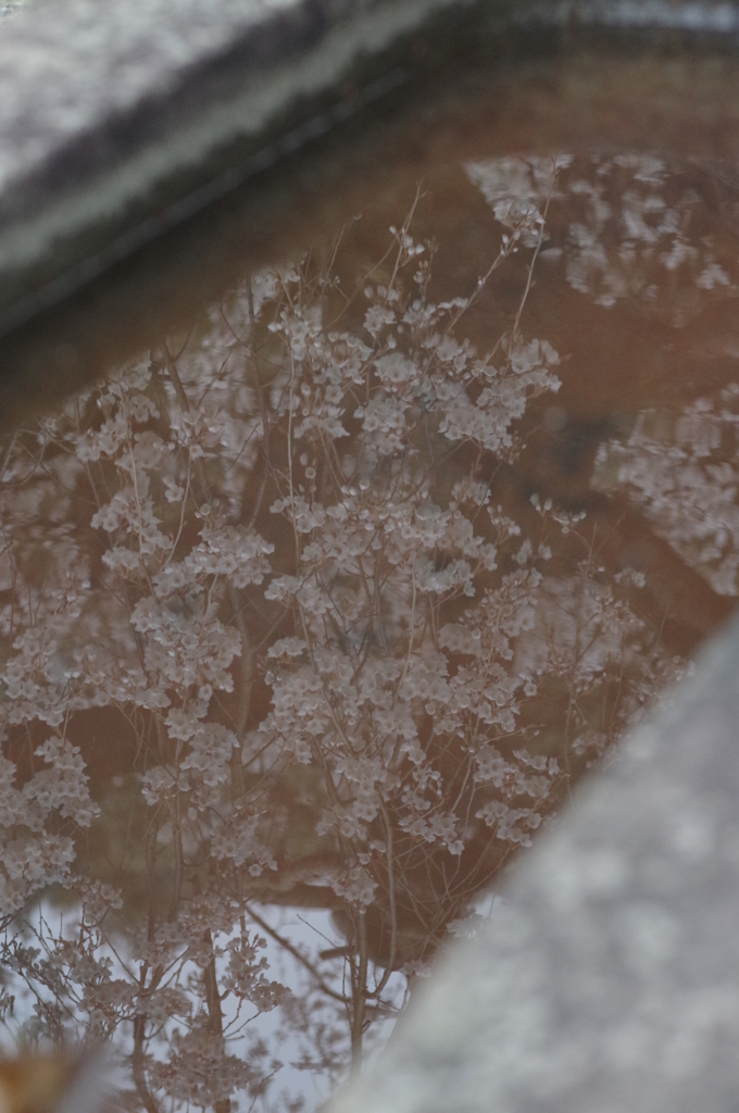 山中渓⑦
