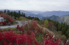 高野山③