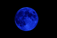 Dark Blue 
