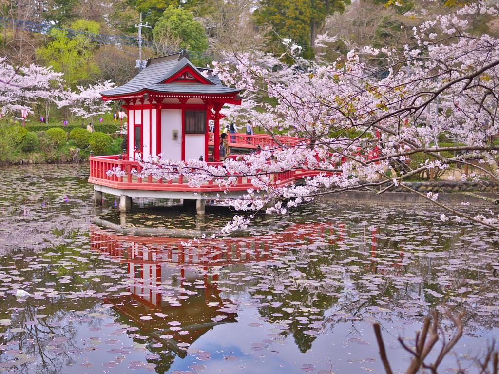茂原公園