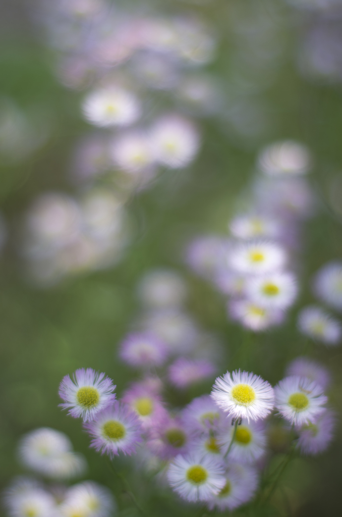 f1.4その４