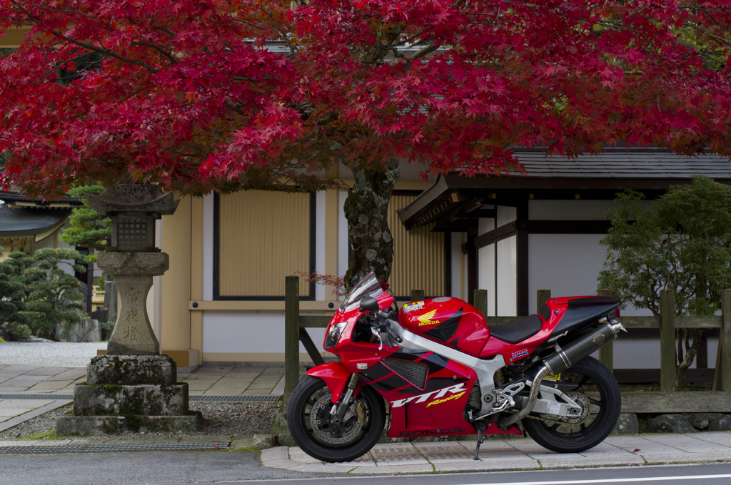 高野山①
