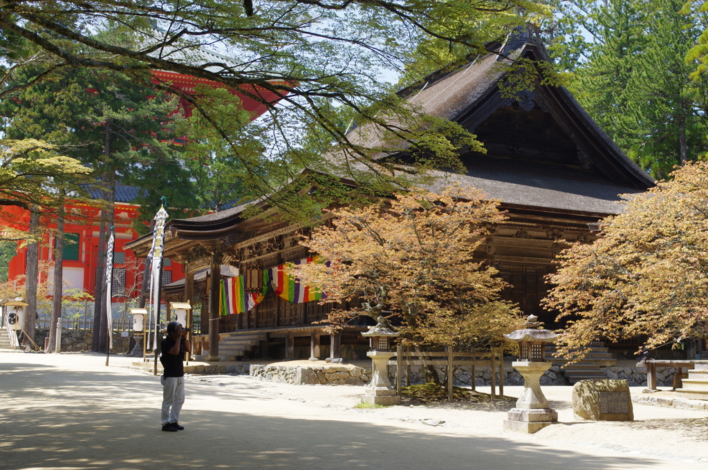 高野山⑤