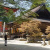 高野山⑤
